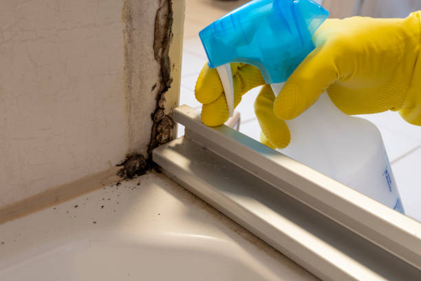 Best Emergency Mold Removal  in Russell, PA