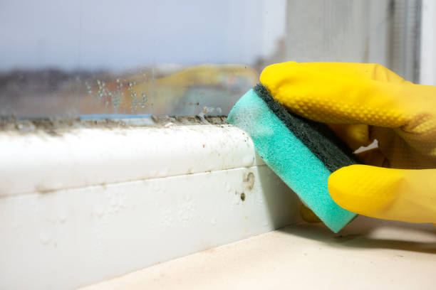 Best Certified Mold Removal  in Russell, PA