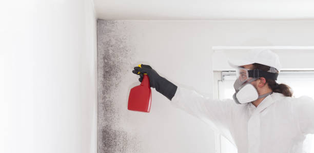 Best Mold Removal Company Near Me  in Russell, PA
