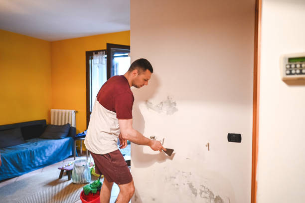 Best Mold Removal and Inspection  in Russell, PA