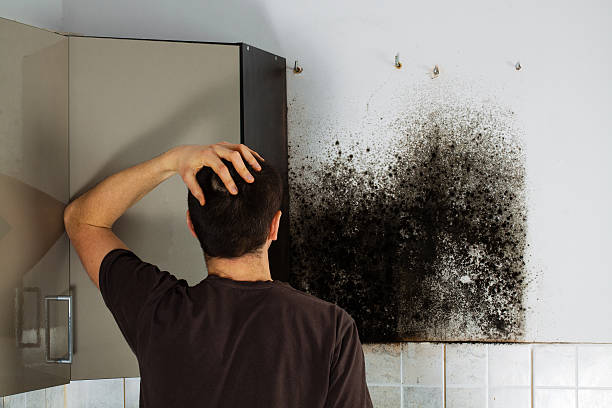 Best Emergency Mold Removal  in Russell, PA